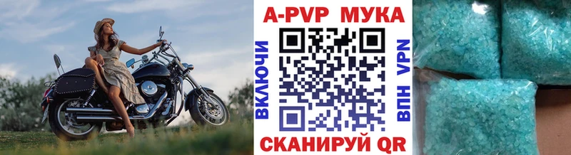 Alfa_PVP СК  Лесной 