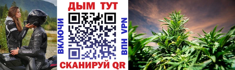 дарк нет формула  Лесной  Бошки Шишки семена  где купить  